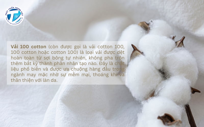 Giải đáp vải 100 cotton là gì? 